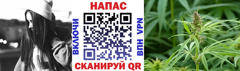 Магазины продажи наркотиков Качканар Альфа ПВП  Мефедрон  АМФЕТАМИН  МЕГА зеркало  Конопля  COCAIN 