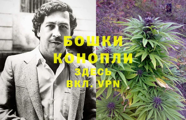молекула духа Алексин