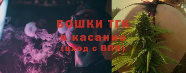 сатива Елизово