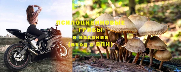 2c-b Алзамай