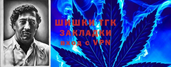 молекула духа Алексин