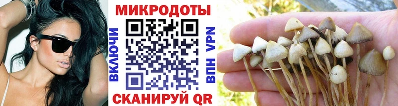 Псилоцибиновые грибы Cubensis  купить наркотики цена  Качканар 